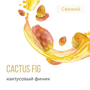 Табак Element Воздух - Cactus Fig (Кактусовый Финик)